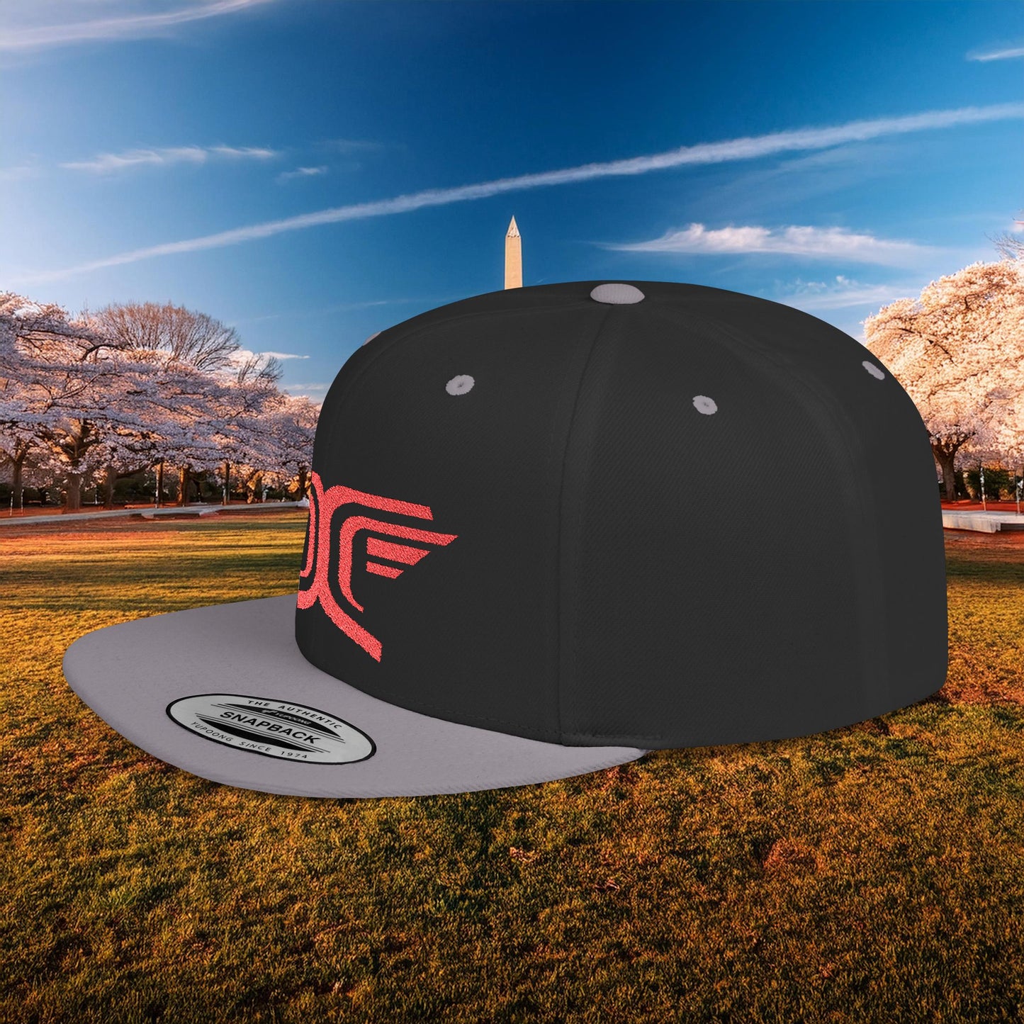 Winged DC Flat Bill Snapback