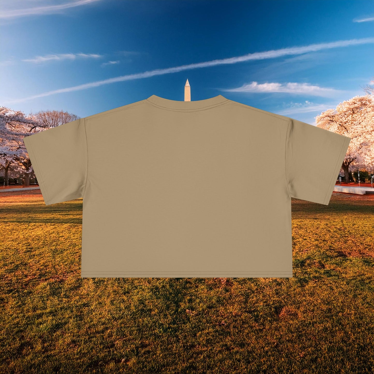 Psychedelic Funky W Skull Women's Crop Tee