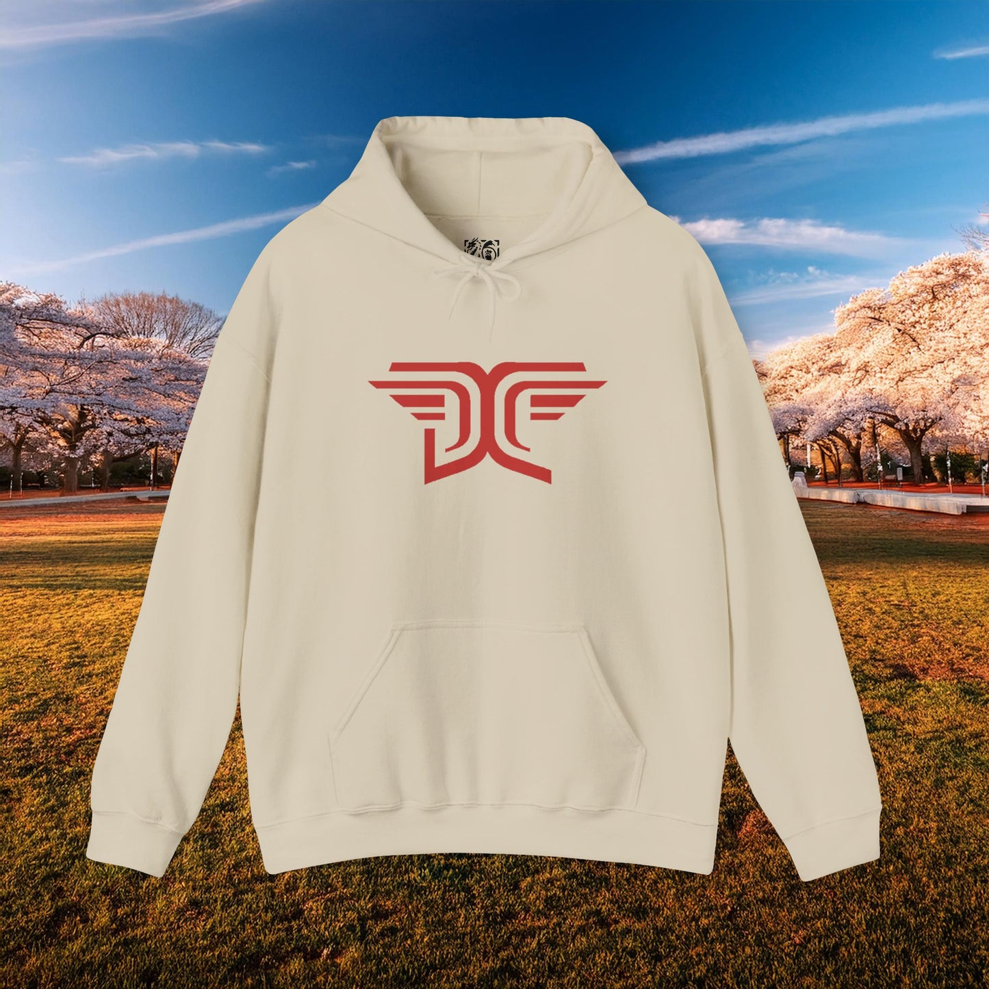 Winged DC Hoodie