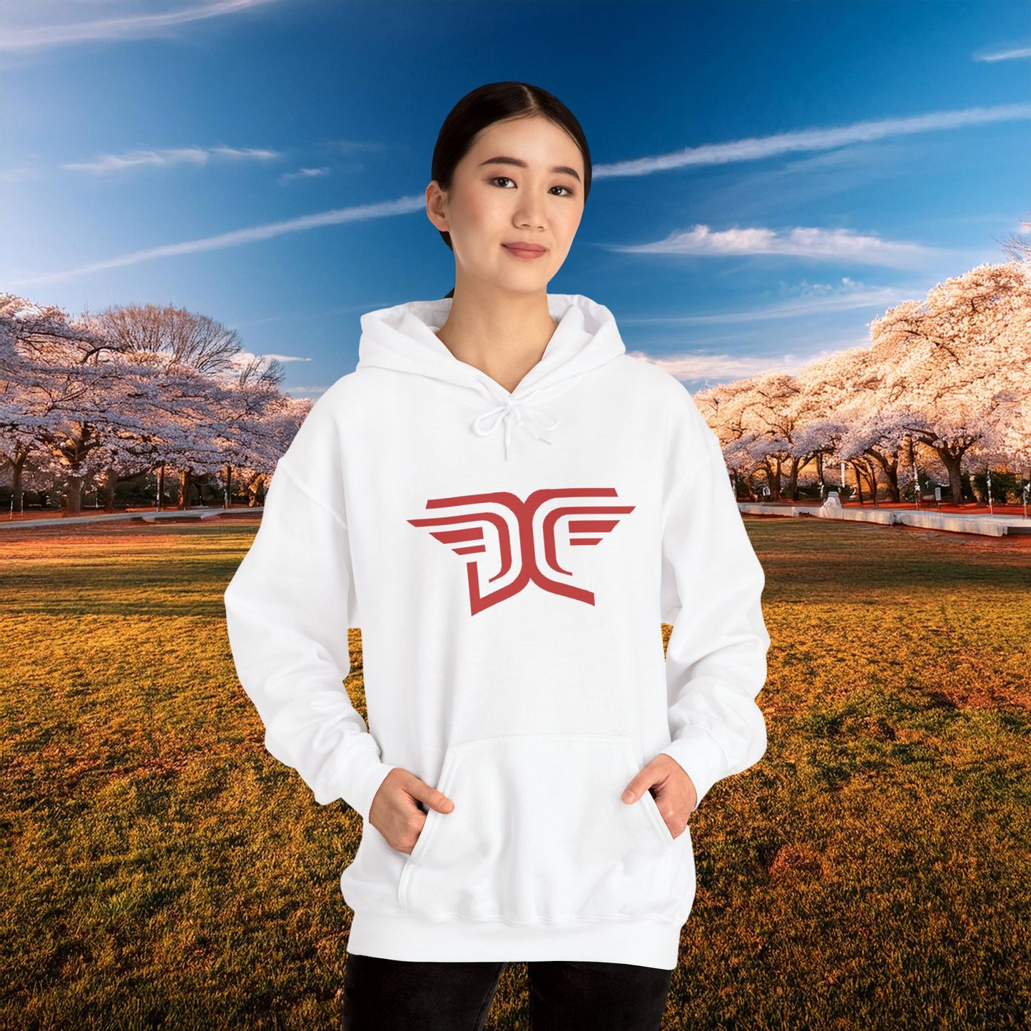 Winged DC Hoodie