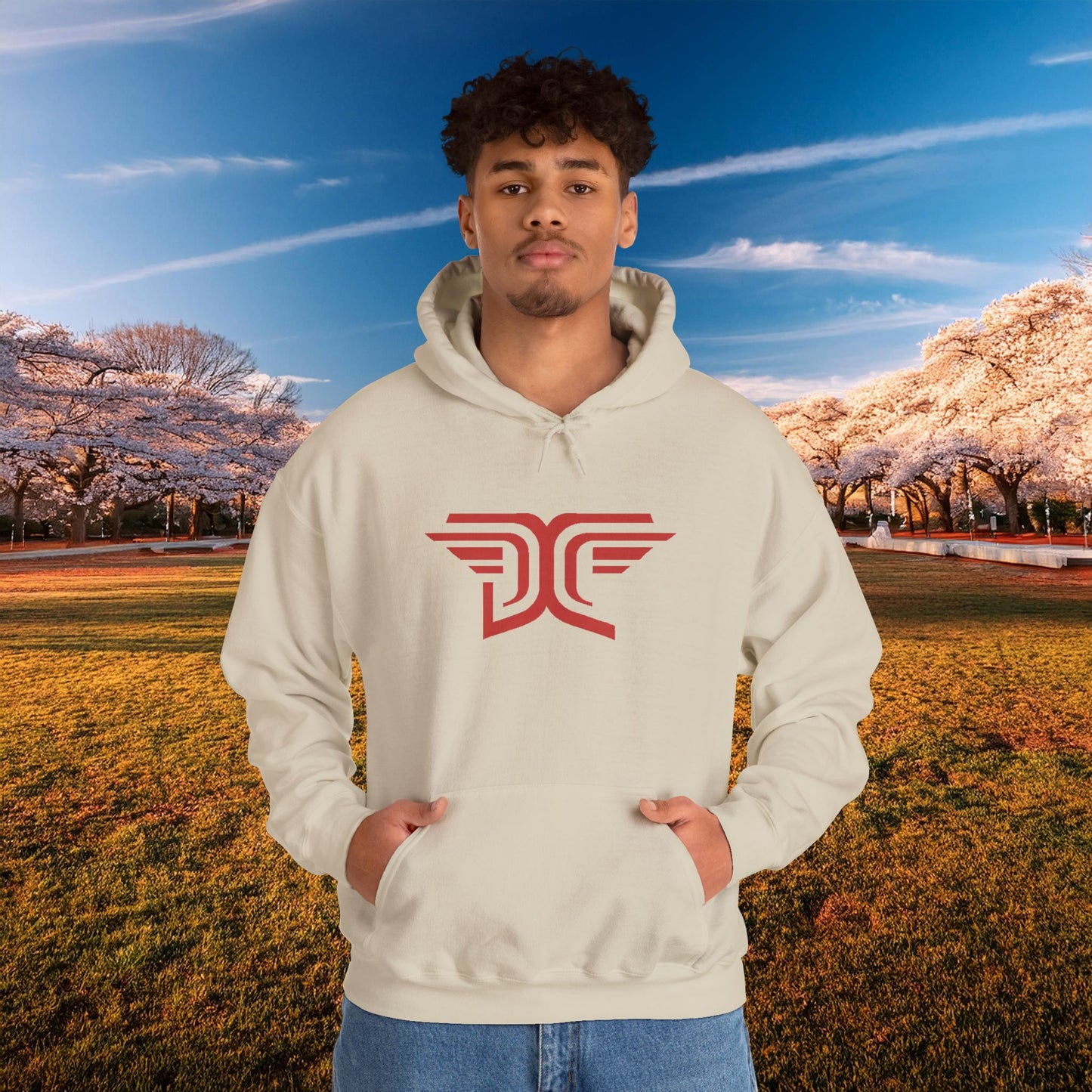 Winged DC Hoodie