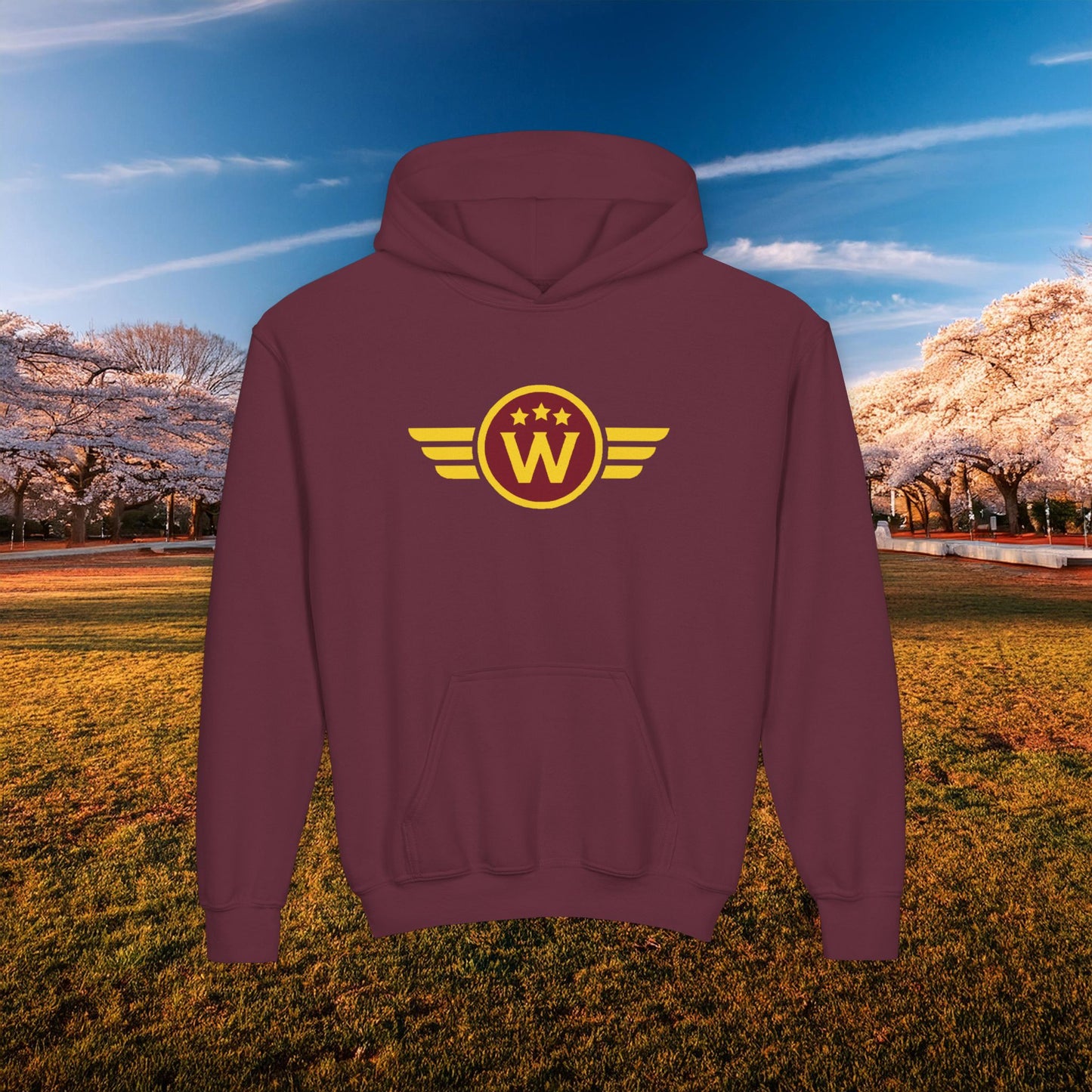 Washington Daniels Youth Hoodie