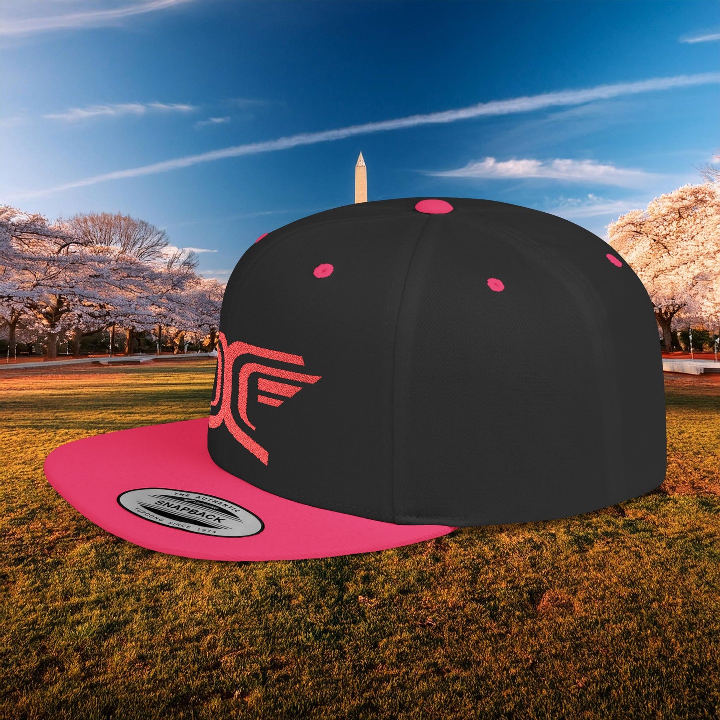 Winged DC Flat Bill Snapback