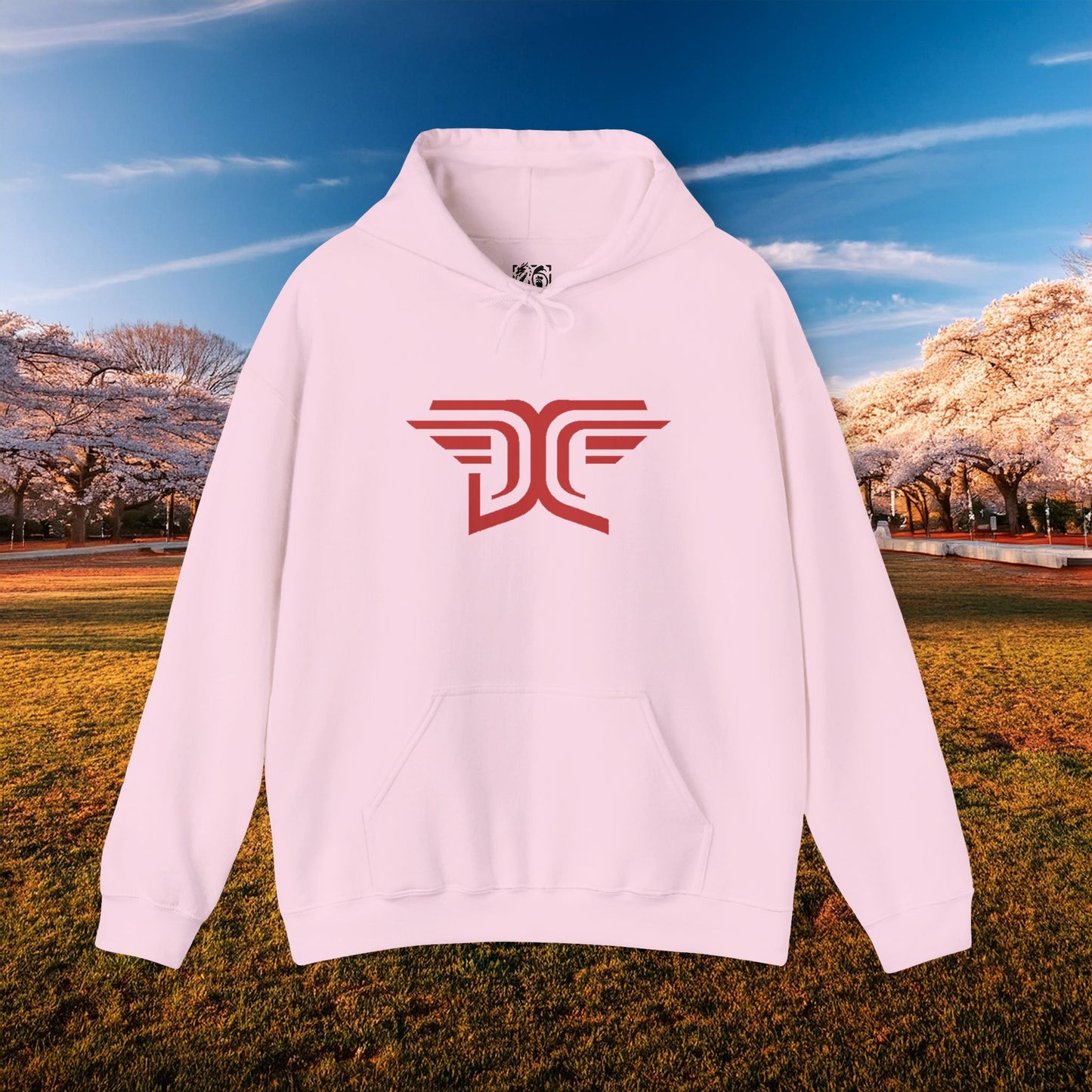 Winged DC Hoodie