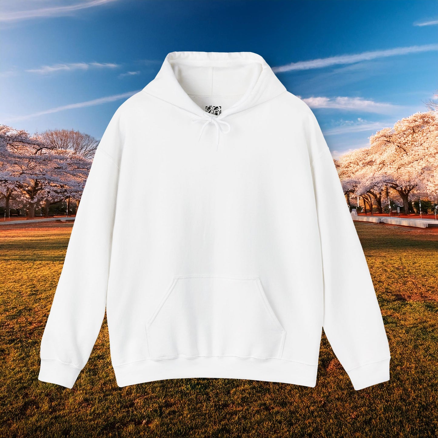 Washington Baseball At Bat Hoodie