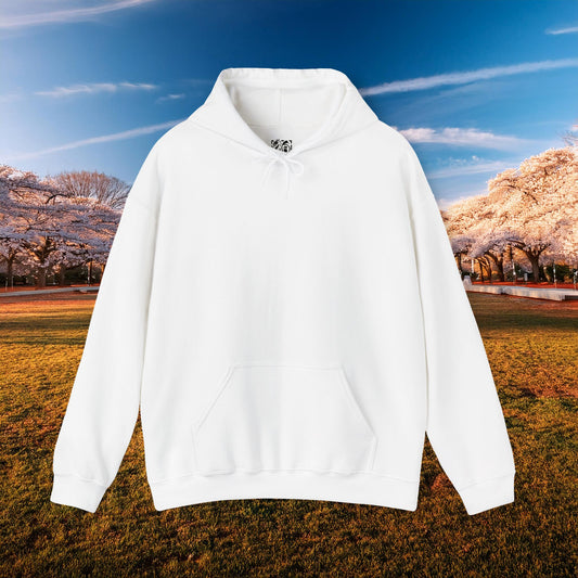 Washington Baseball At Bat Hoodie