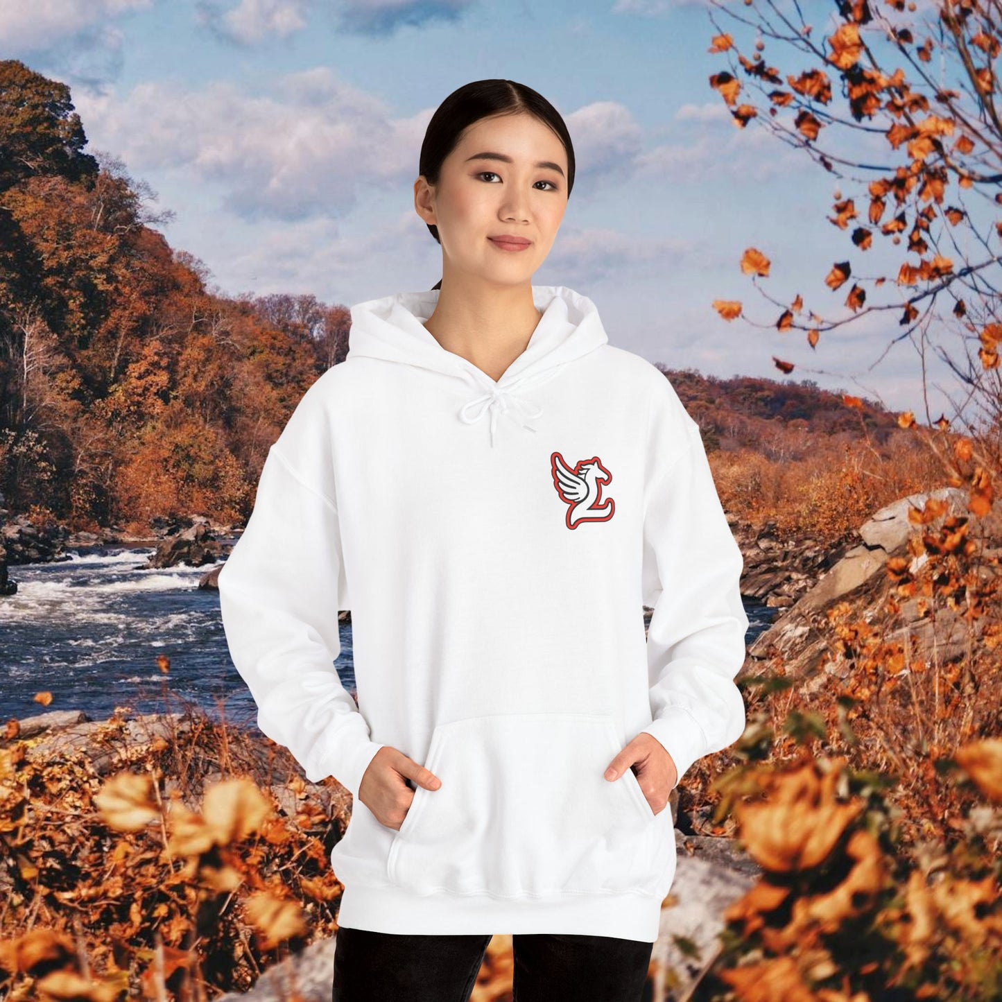 Loudoun Pegasus Hoodie