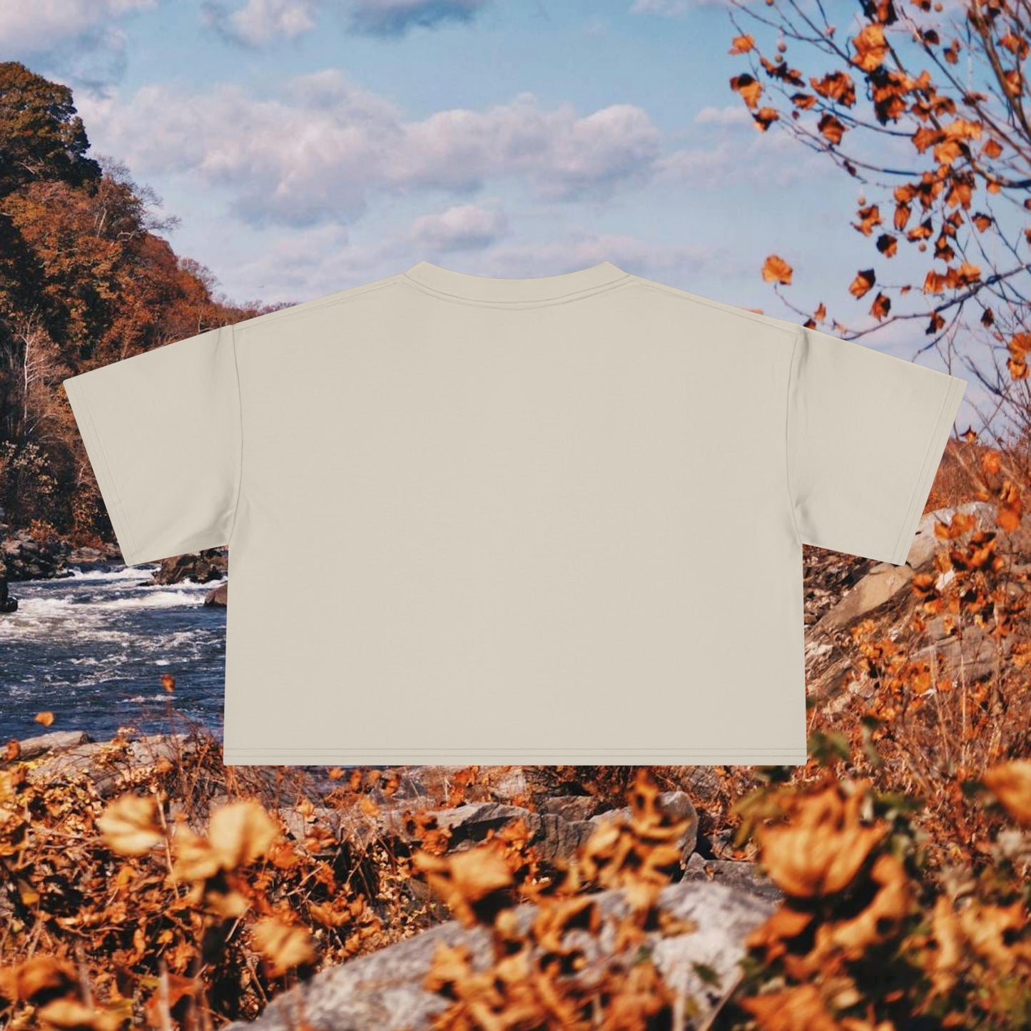 Loudoun Pegasus Crop Tee