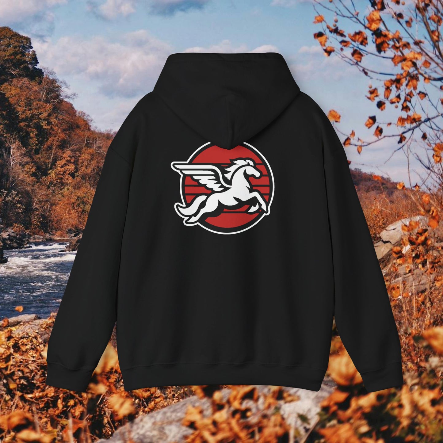 Loudoun Pegasus Hoodie