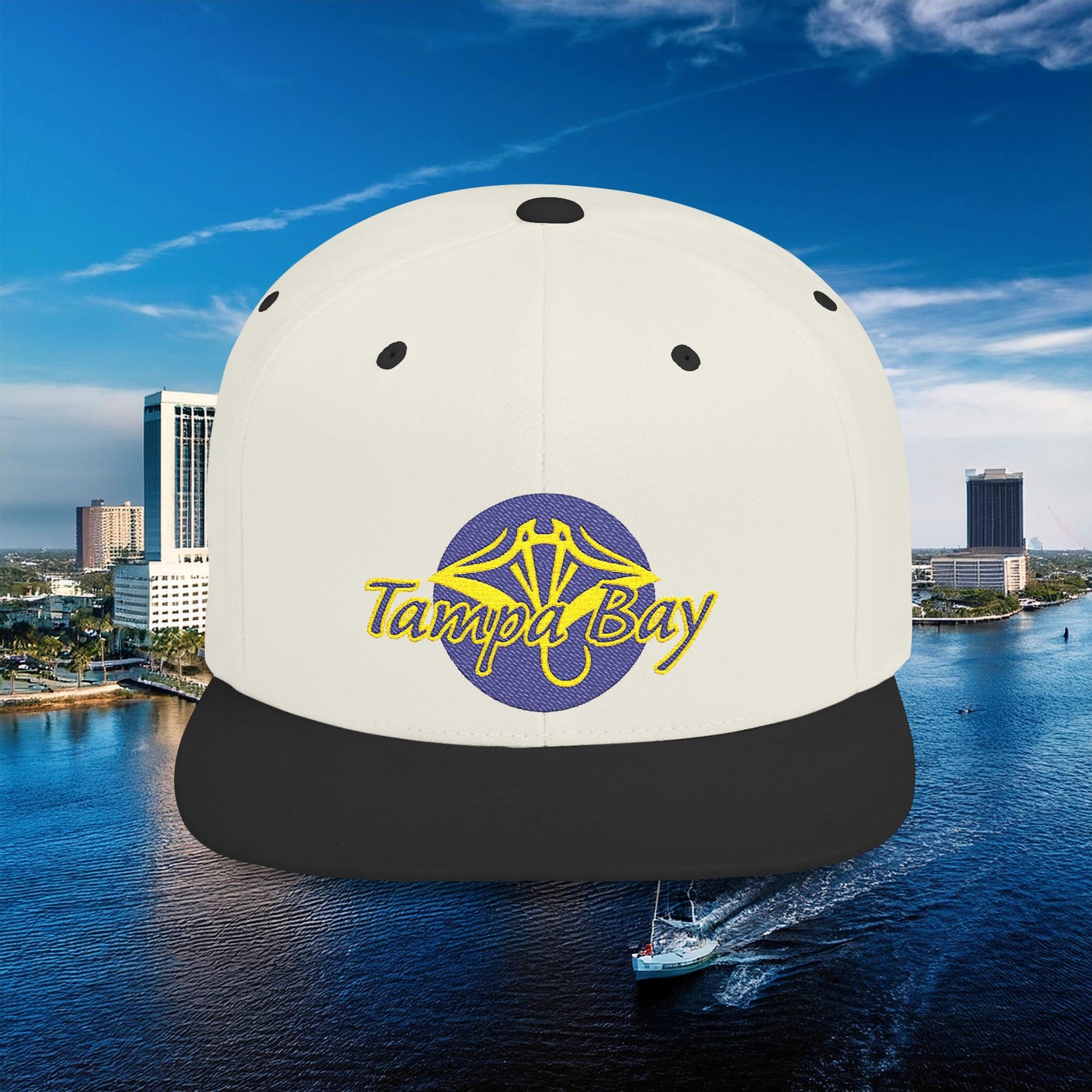 Tampa Bay Baseball Flat Bill Snapback
