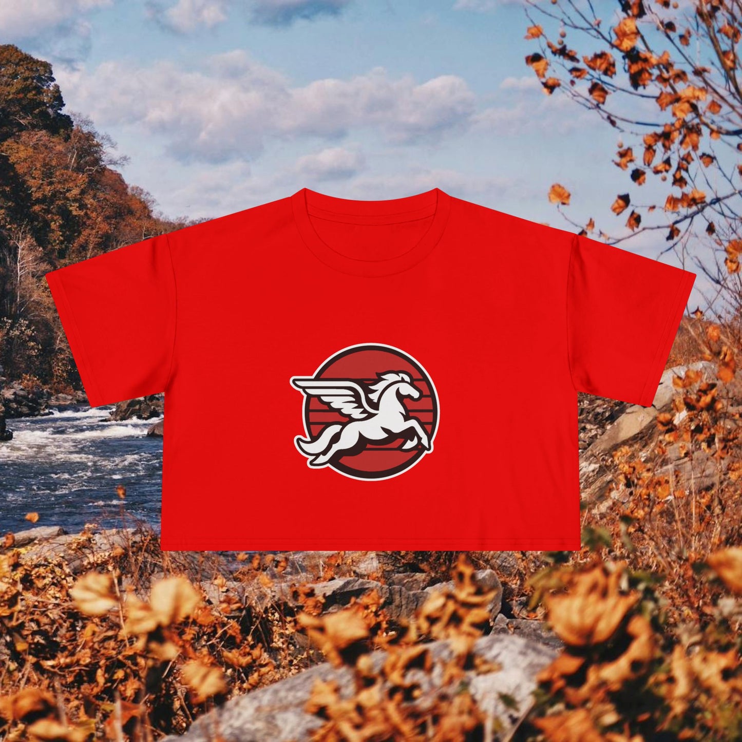 Loudoun Pegasus Crop Tee
