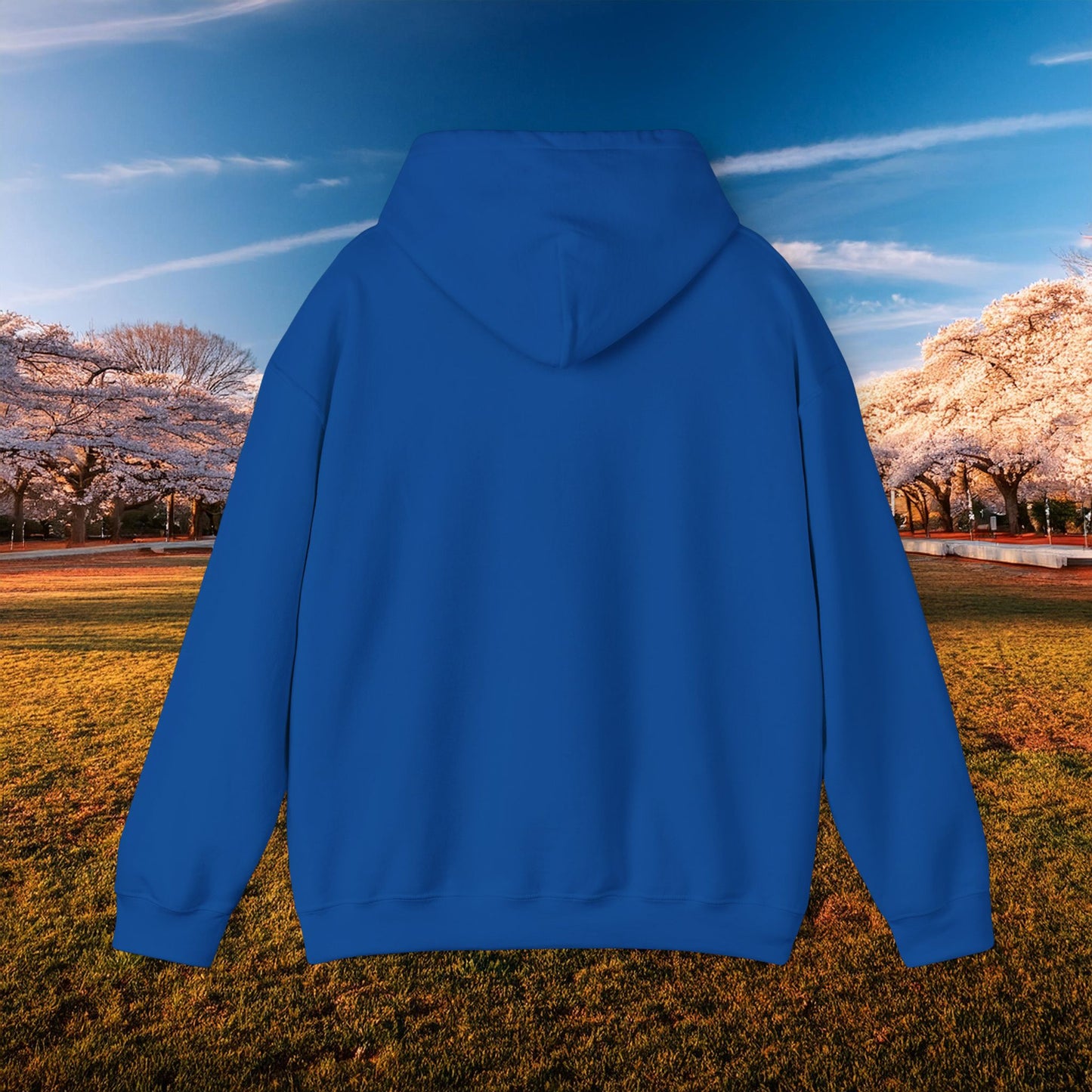 DC United Logo Hoodie