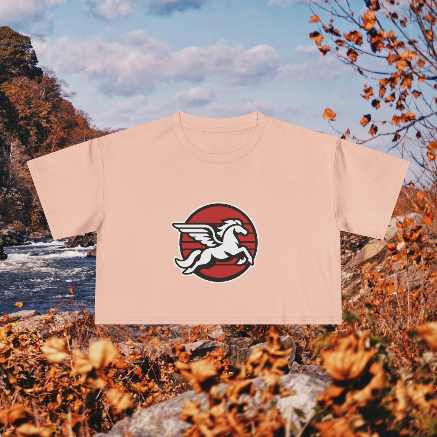 Loudoun Pegasus Crop Tee