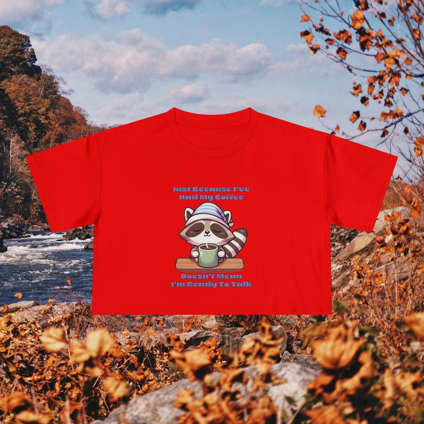 Raccoon Coffee Women's Crop Tee