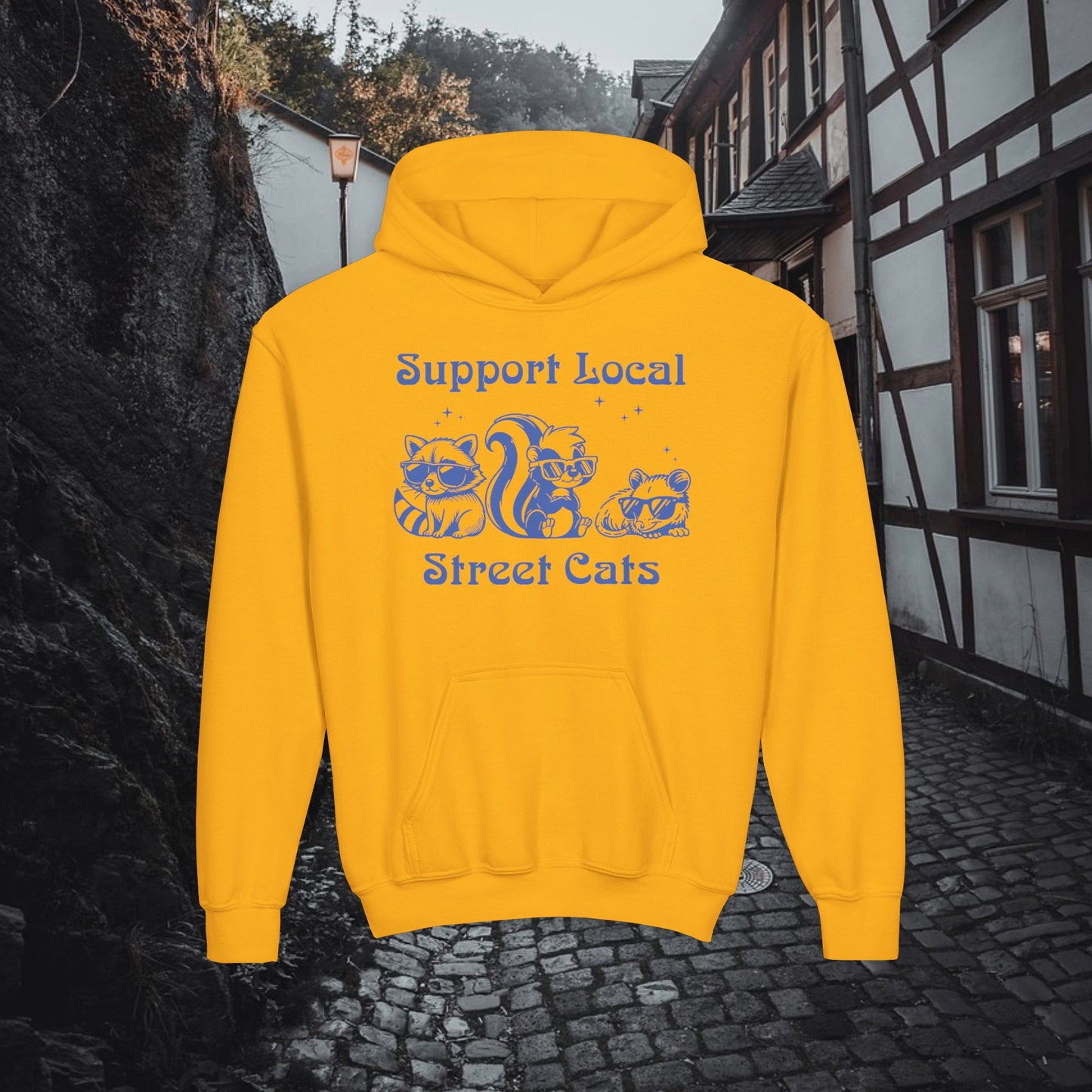 Support Local Street Cats Youth Hoodie