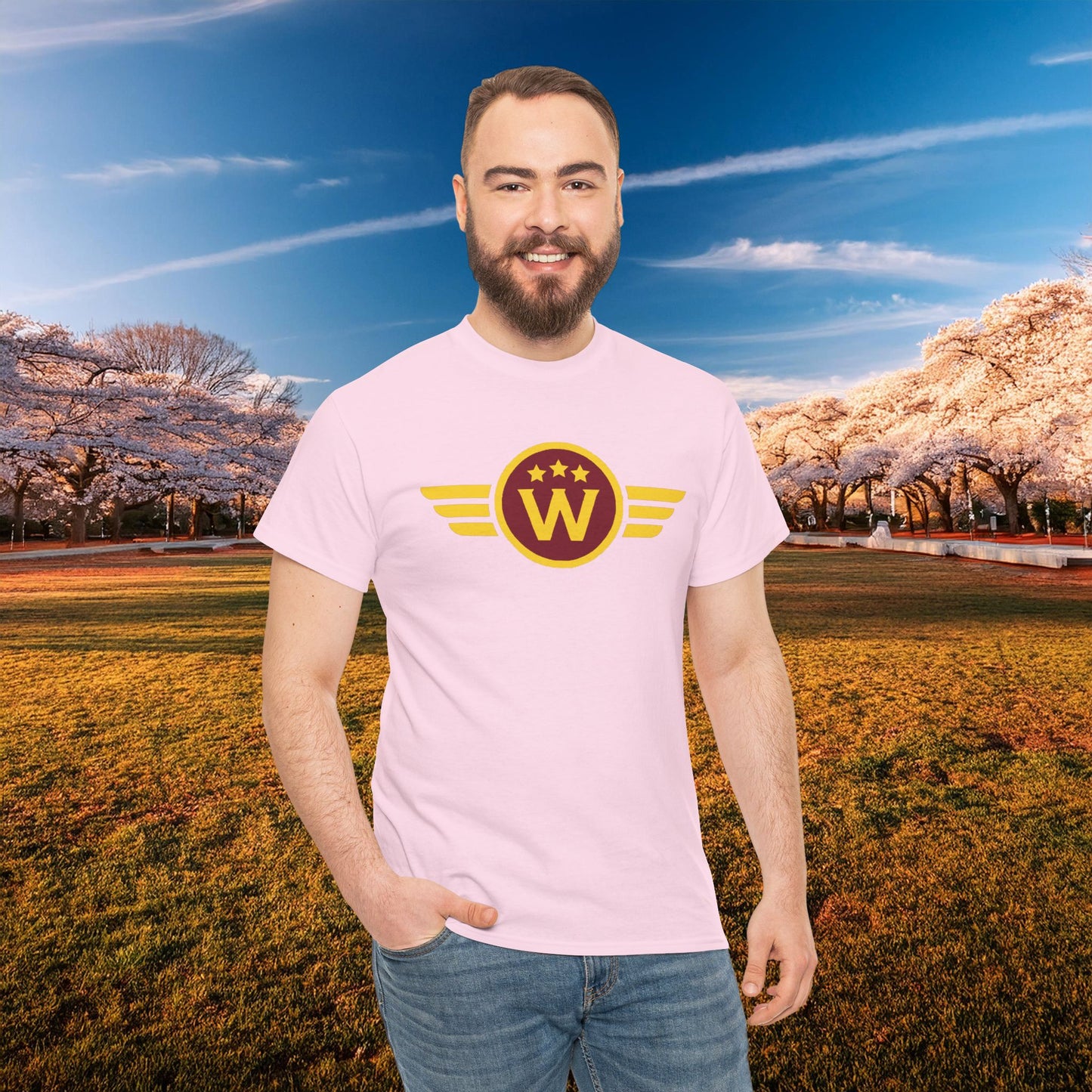 Washington DC Football Logo Tee