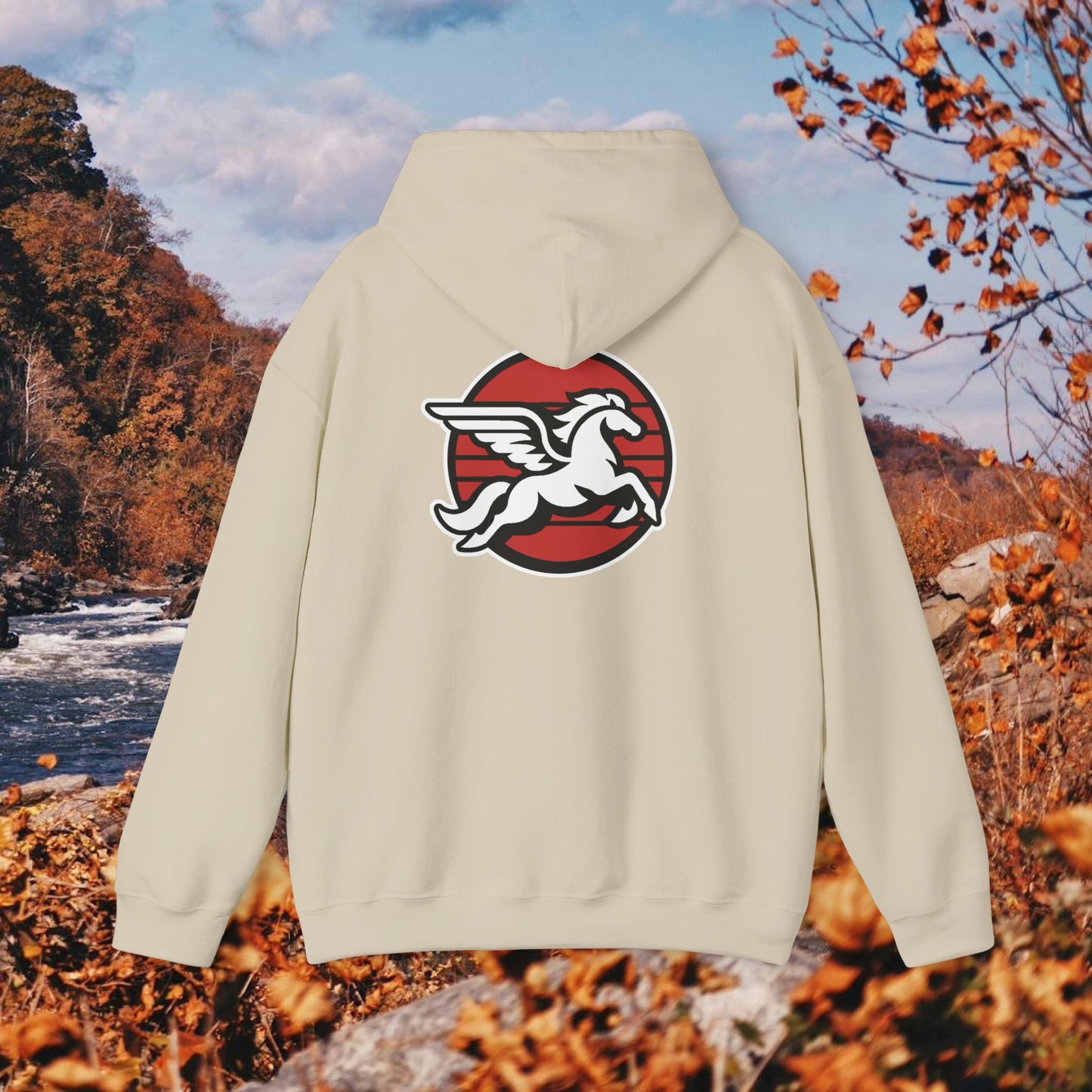 Loudoun Pegasus Hoodie