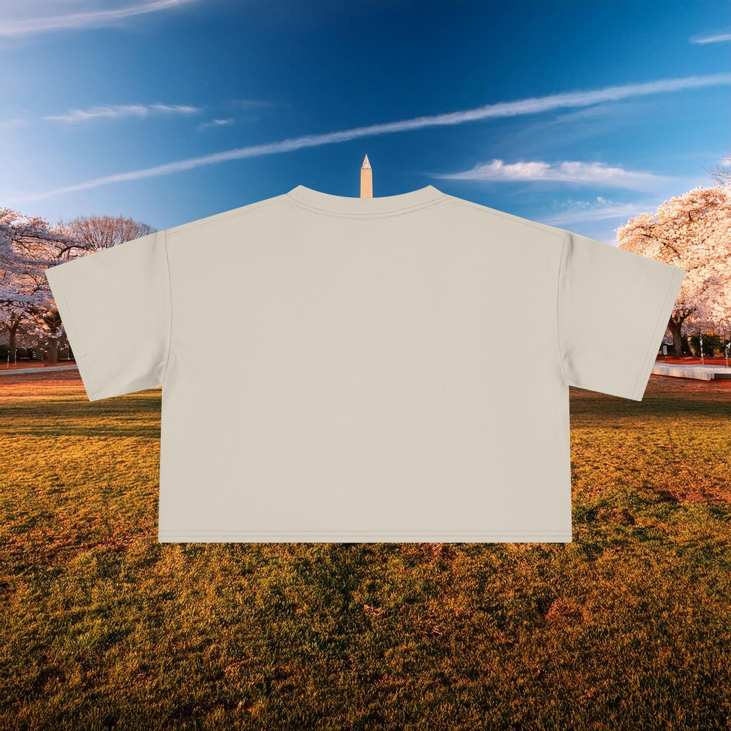 Psychedelic Wizard's Player Women's Crop Tee