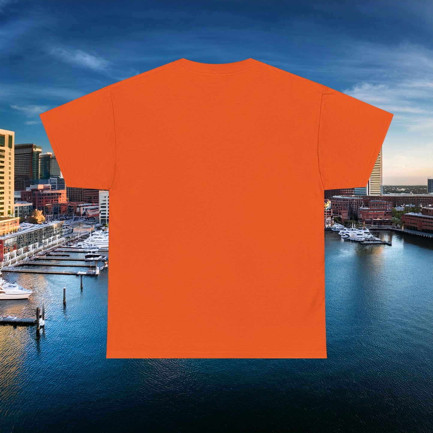Baltimore Tee