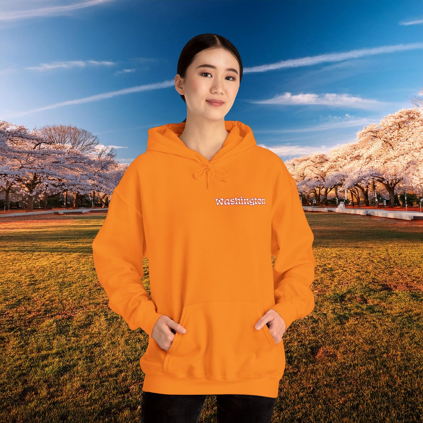 Magical Mystery Nats Hoodie