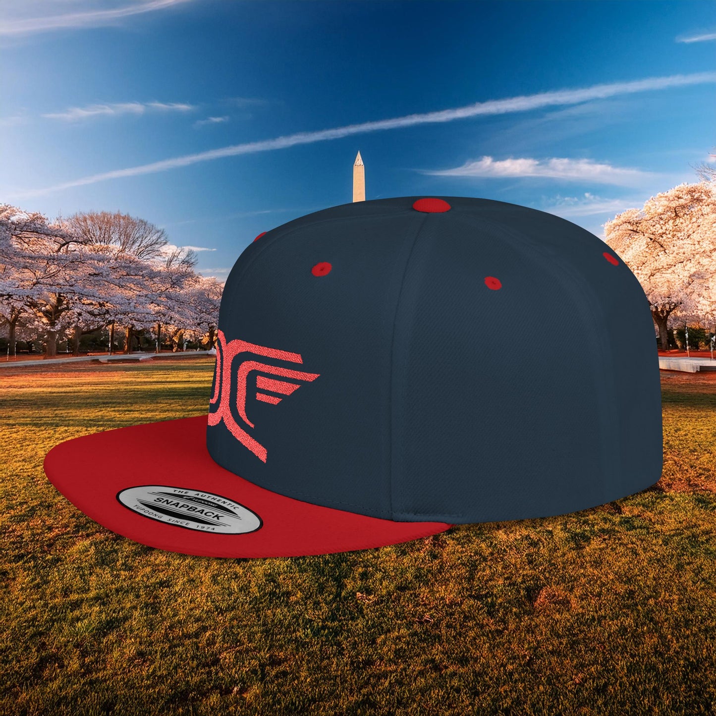 Winged DC Flat Bill Snapback