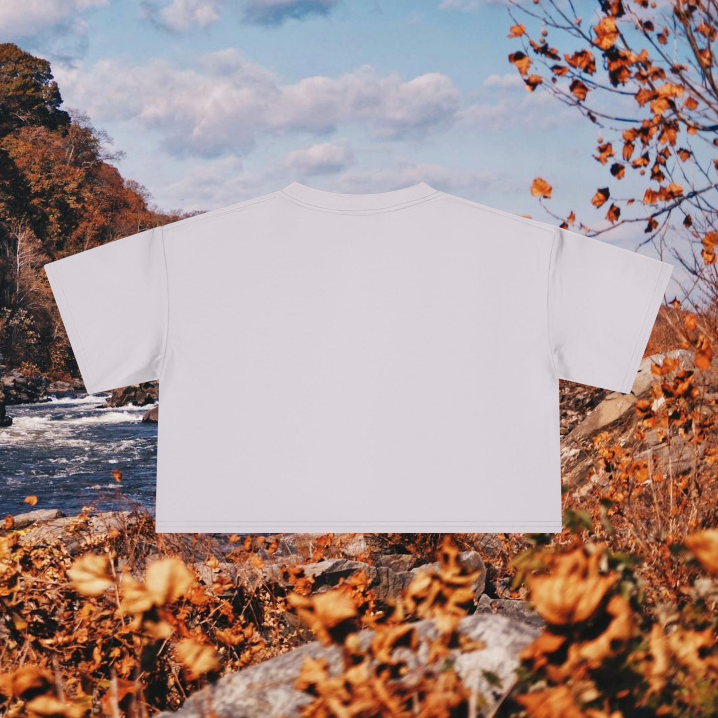 Raccoon Coffee Women's Crop Tee