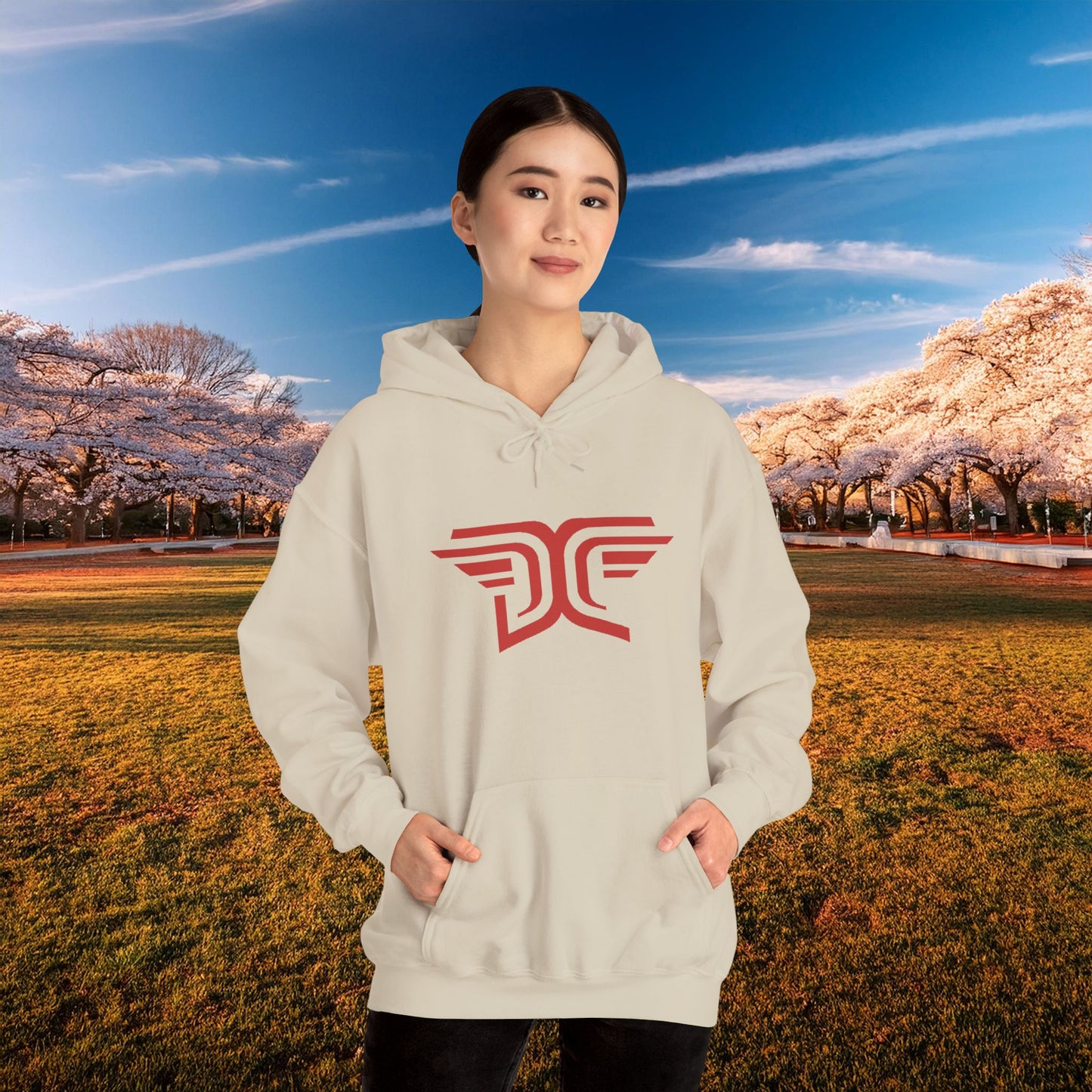 Winged DC Hoodie