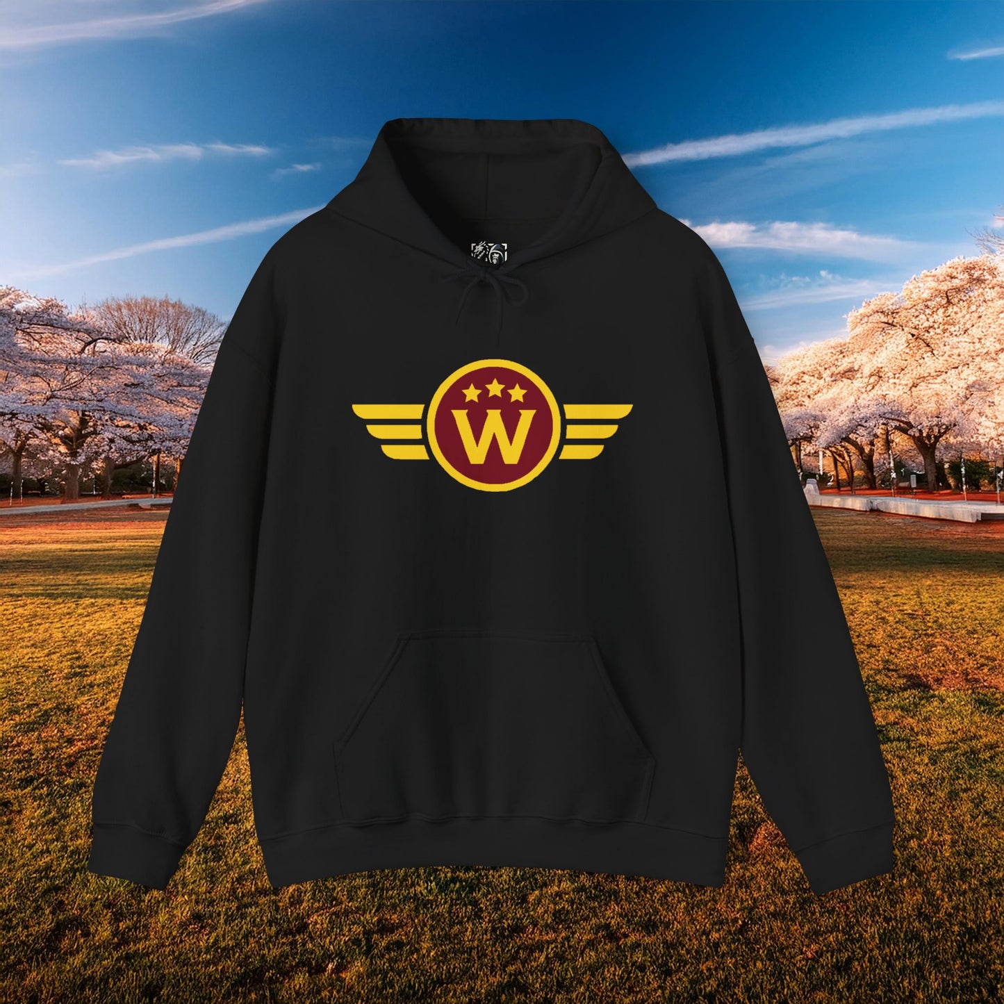 Washington DC Football Logo Hoodie