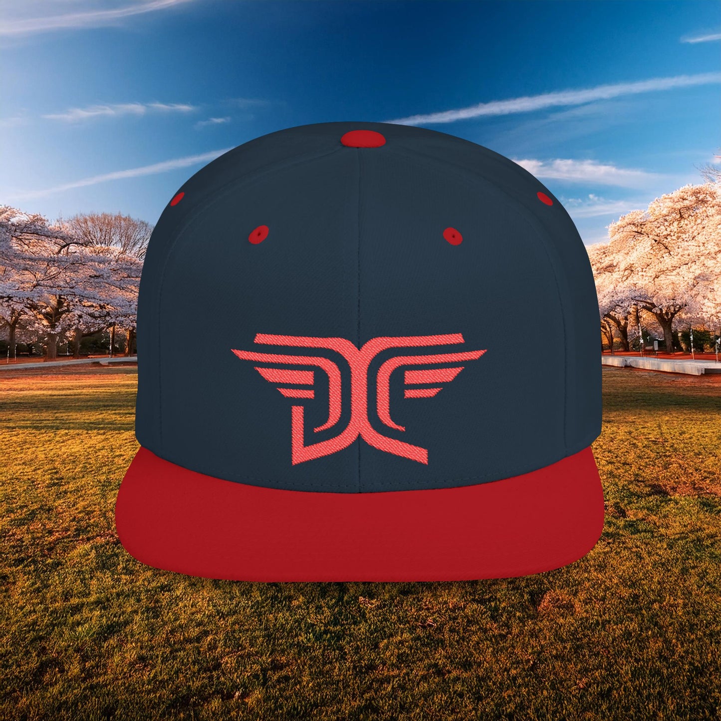Winged DC Flat Bill Snapback