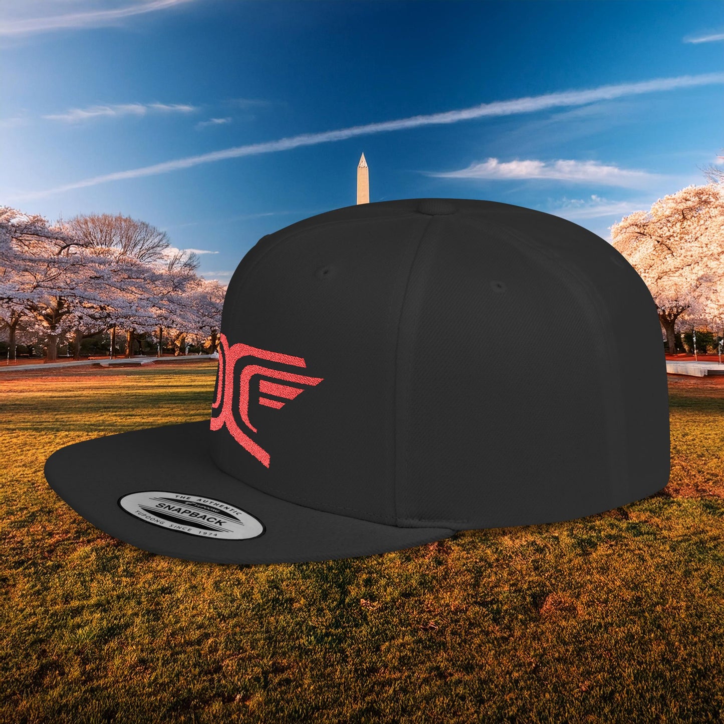 Winged DC Flat Bill Snapback