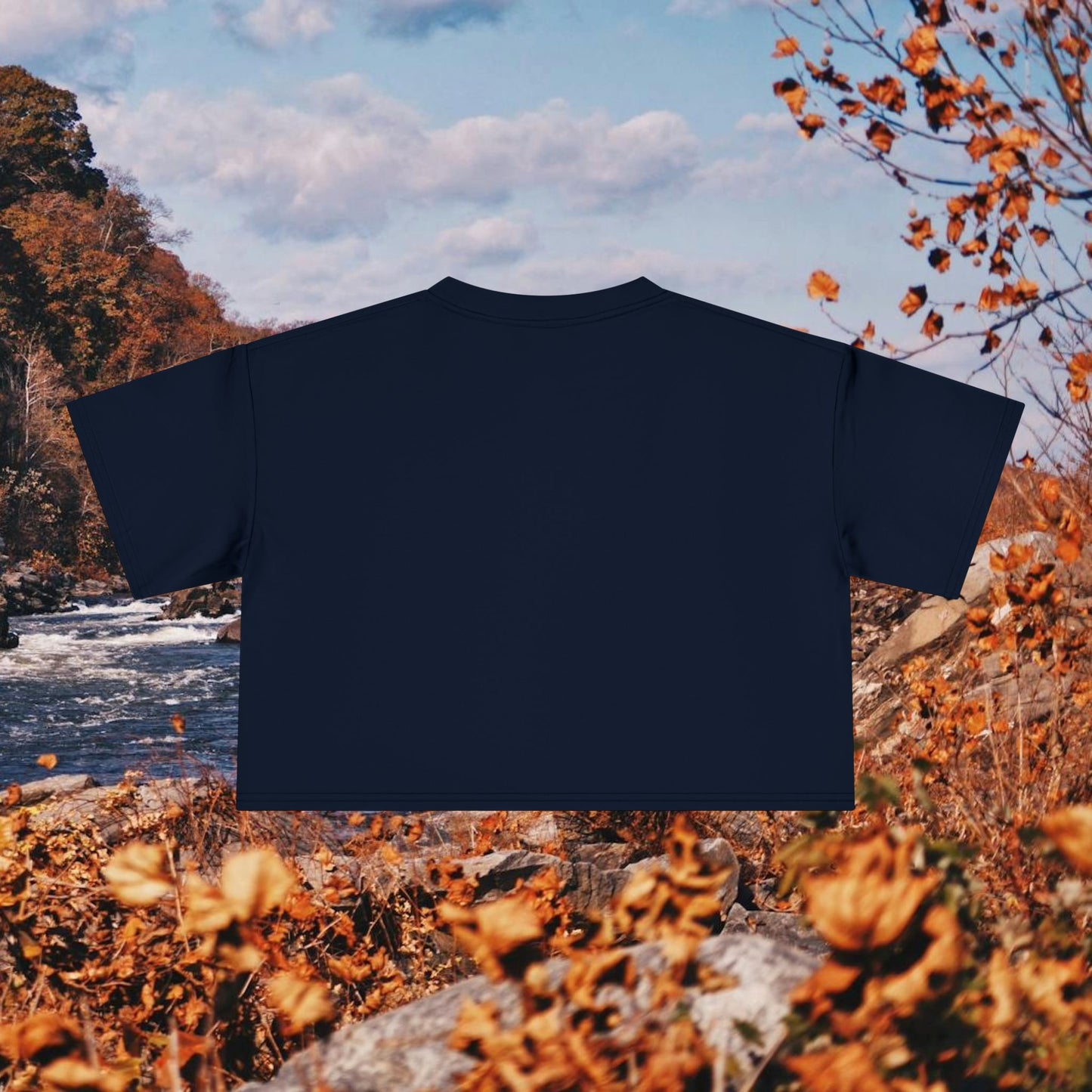 Raccoon Coffee Women's Crop Tee