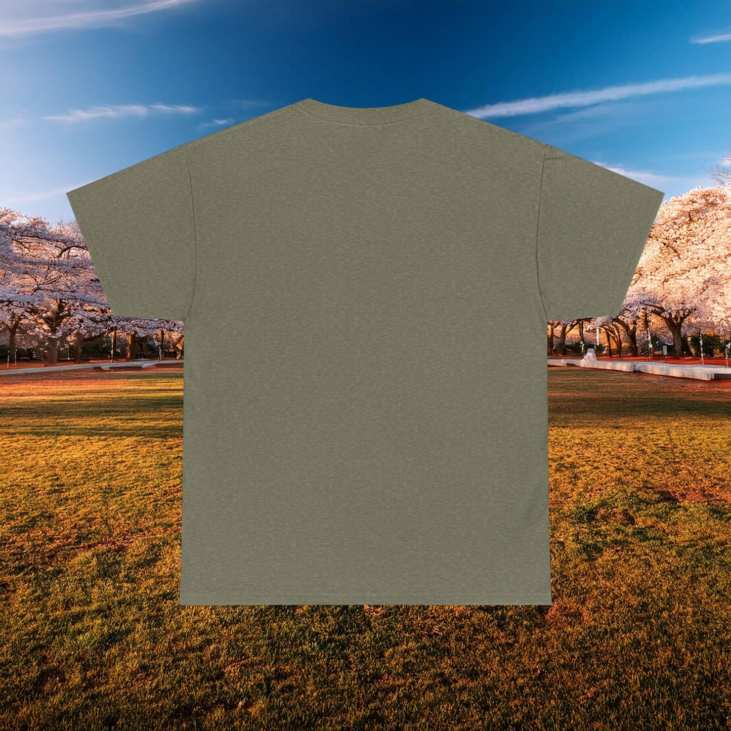 Washington DC Football Logo Tee