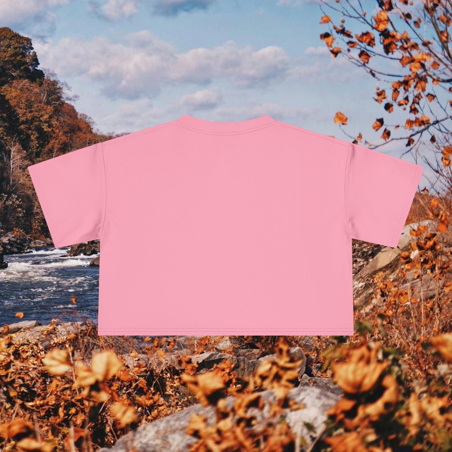 Raccoon Coffee Women's Crop Tee