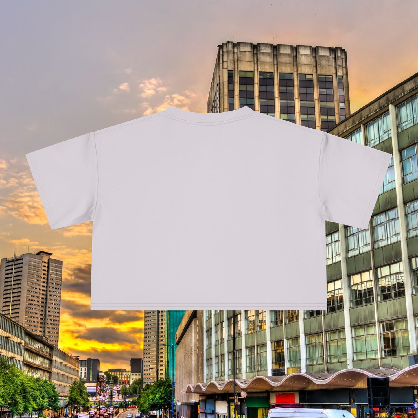 Villans Women's Crop Tee