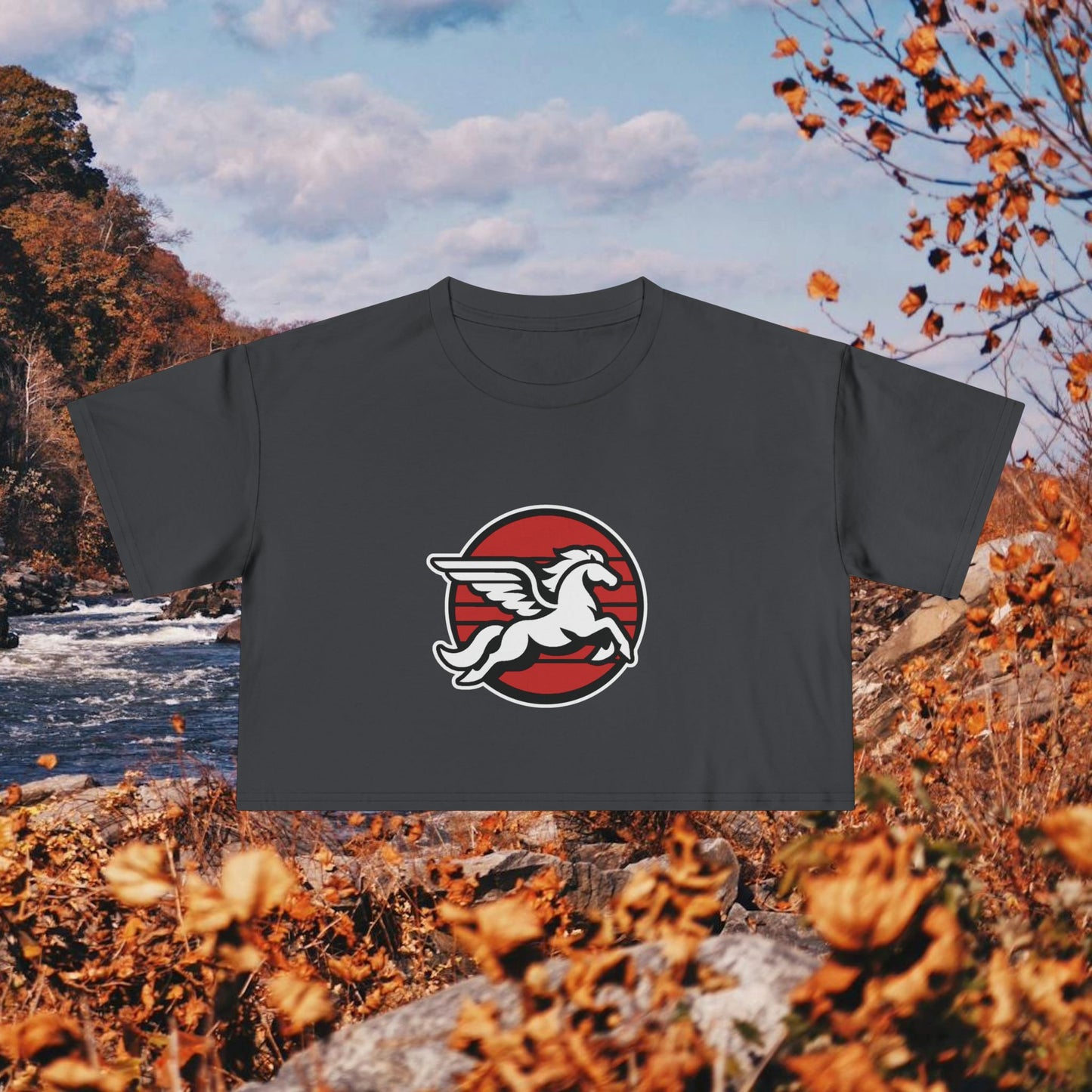 Loudoun Pegasus Crop Tee