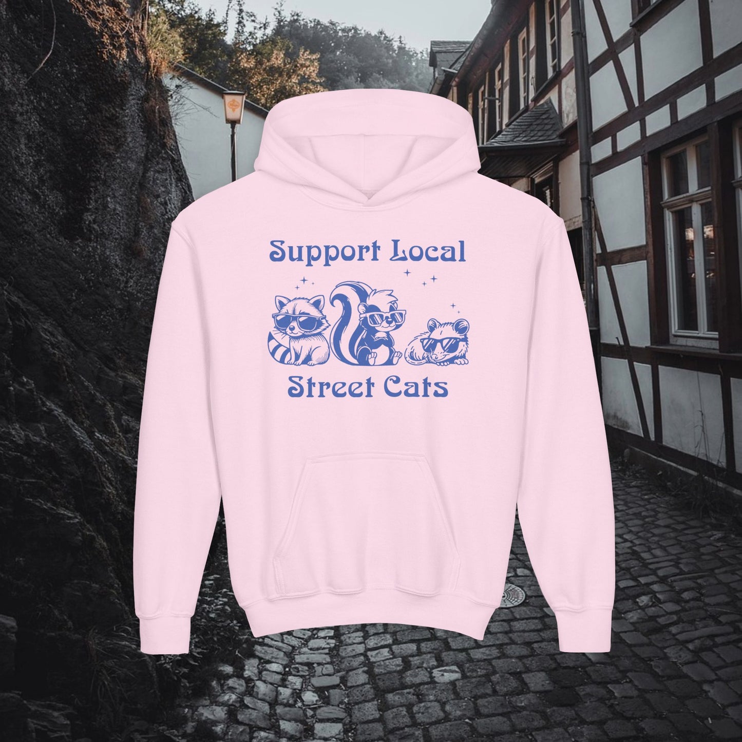 Support Local Street Cats Youth Hoodie