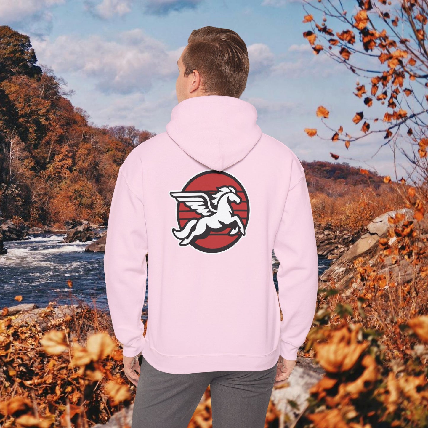 Loudoun Pegasus Hoodie