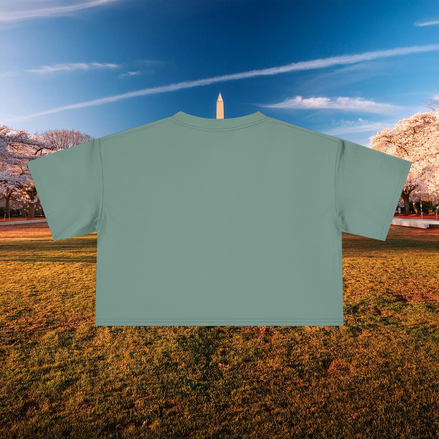 Psychedelic Wizard's Player Women's Crop Tee