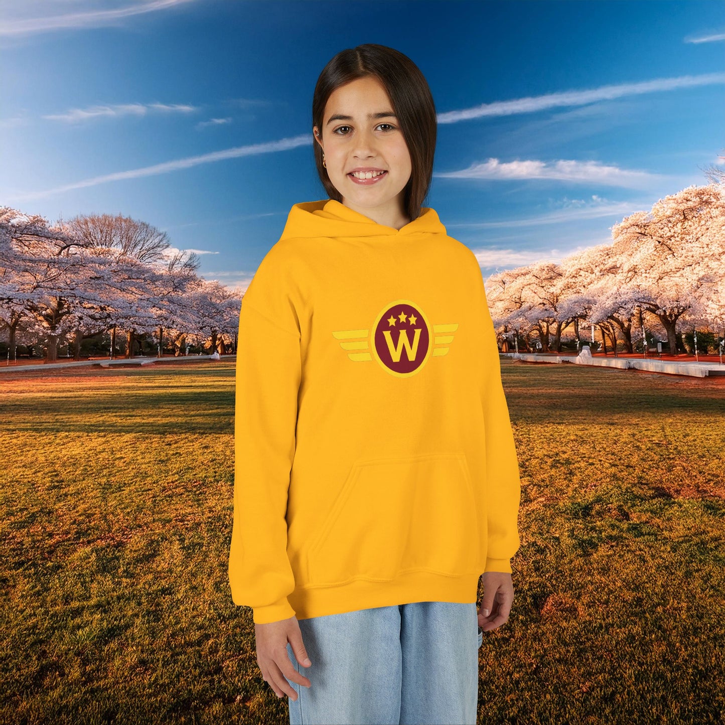 Washington DC Football Logo Youth Hoodie