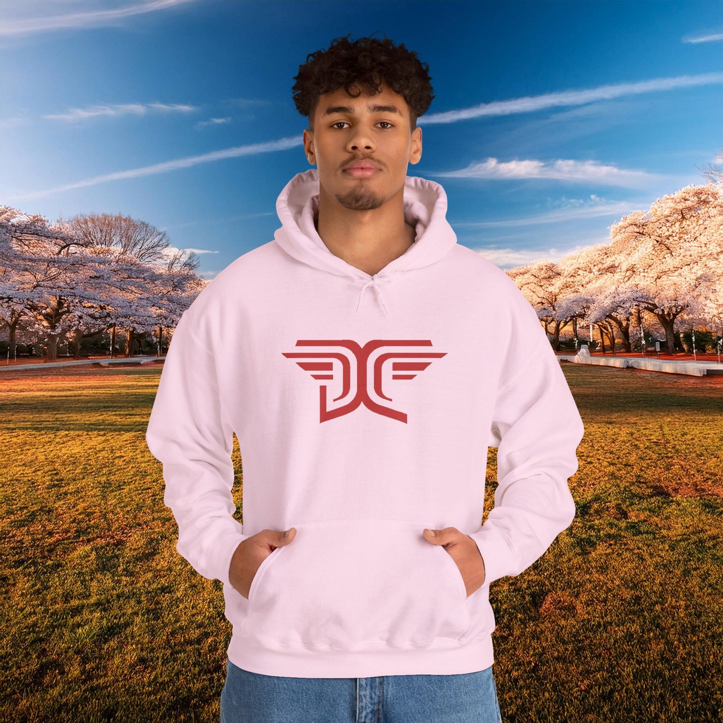 Winged DC Hoodie