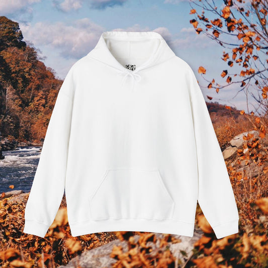 Raccoon Coffee Hoodie