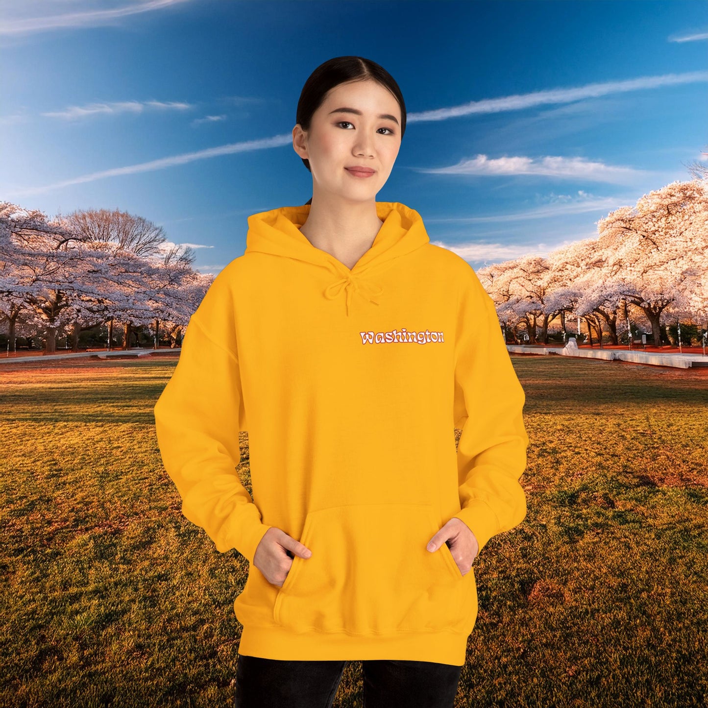 Magical Mystery Nats Hoodie