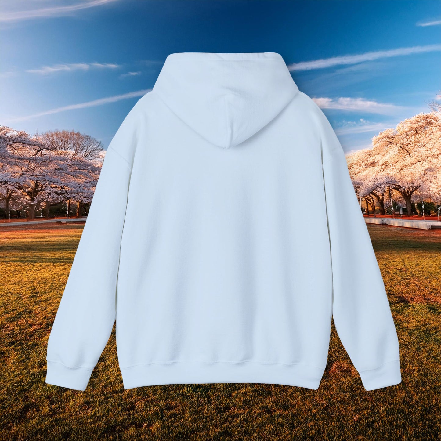 DC United Logo Hoodie