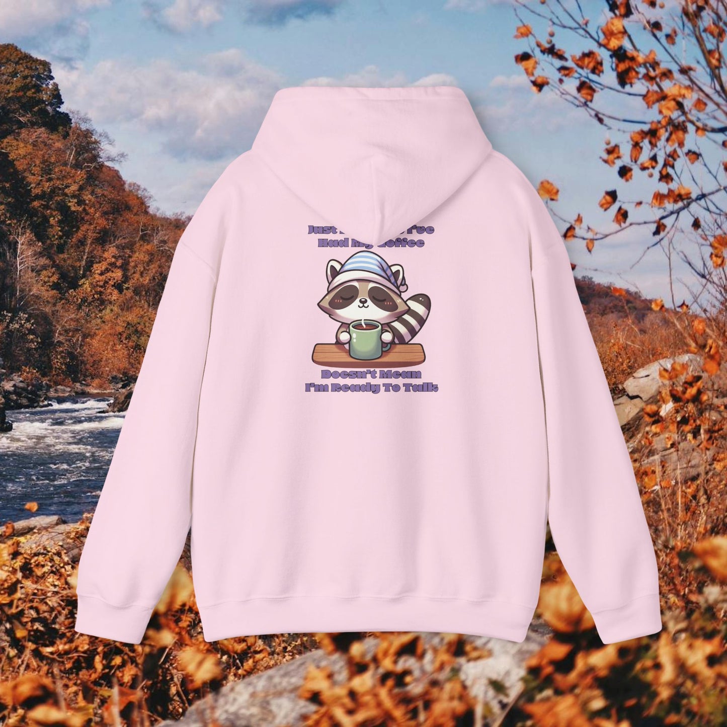 Raccoon Coffee Hoodie