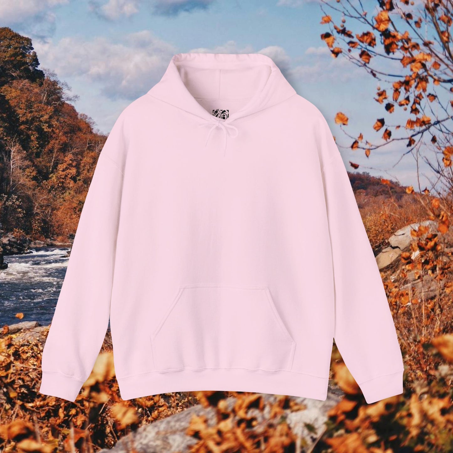 Raccoon Coffee Hoodie