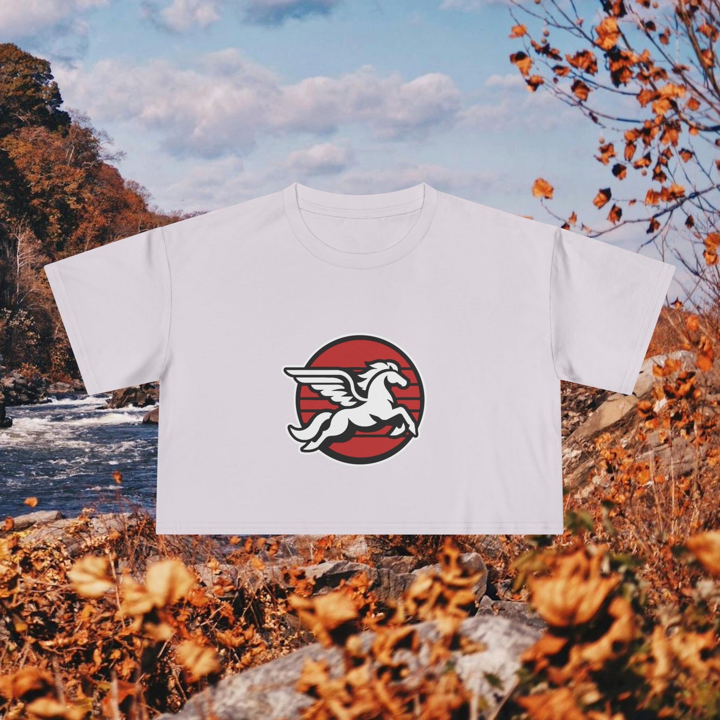 Loudoun Pegasus Crop Tee