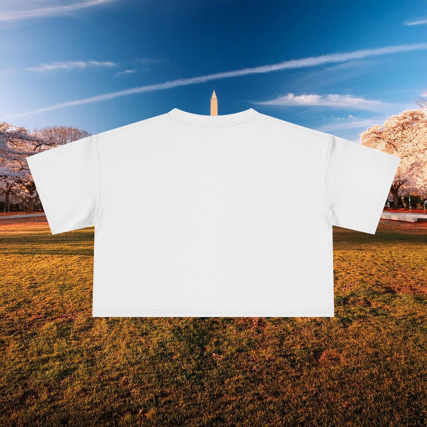 Psychedelic Funky W Skull Women's Crop Tee