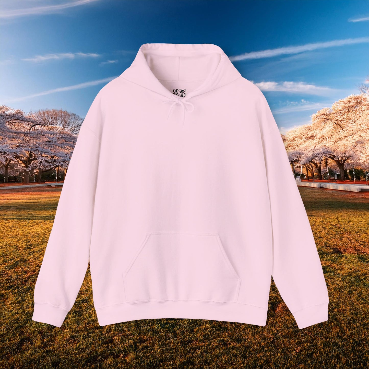 Washington Baseball At Bat Hoodie