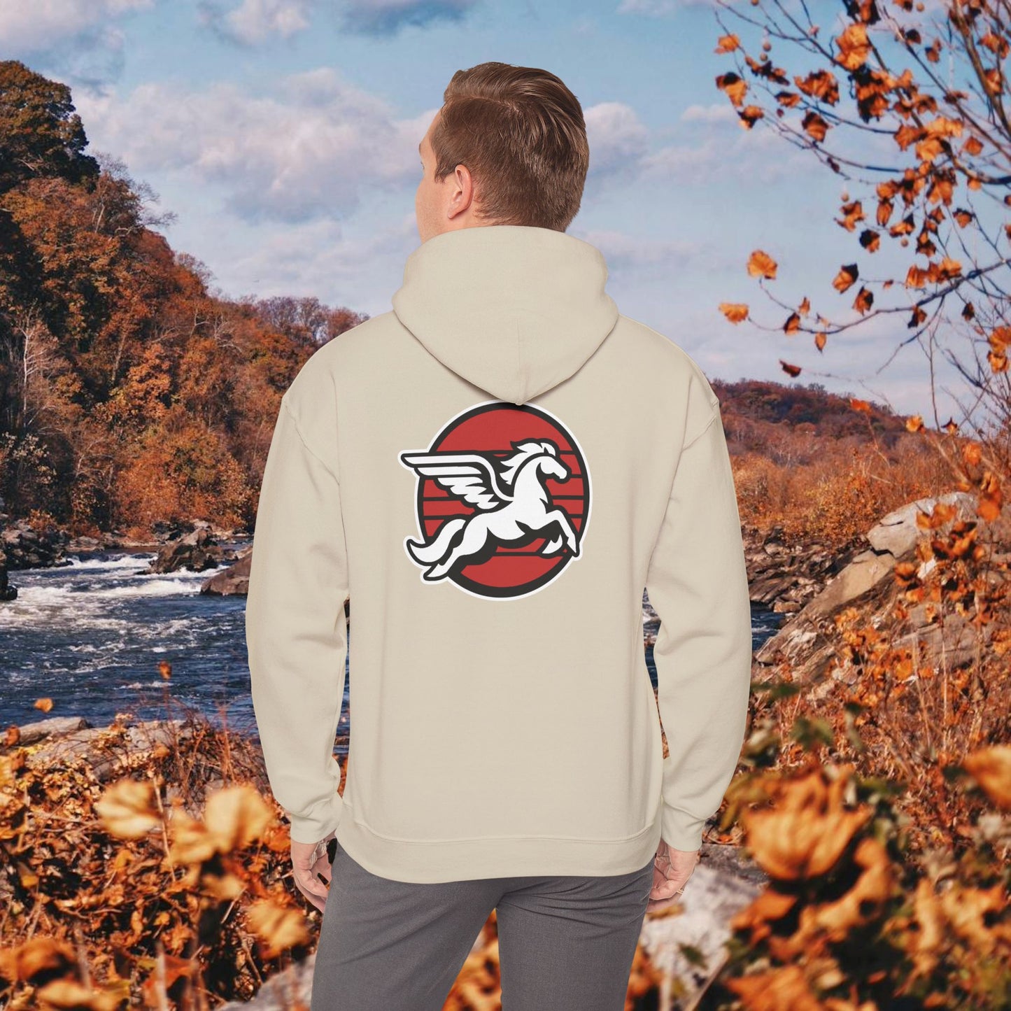Loudoun Pegasus Hoodie