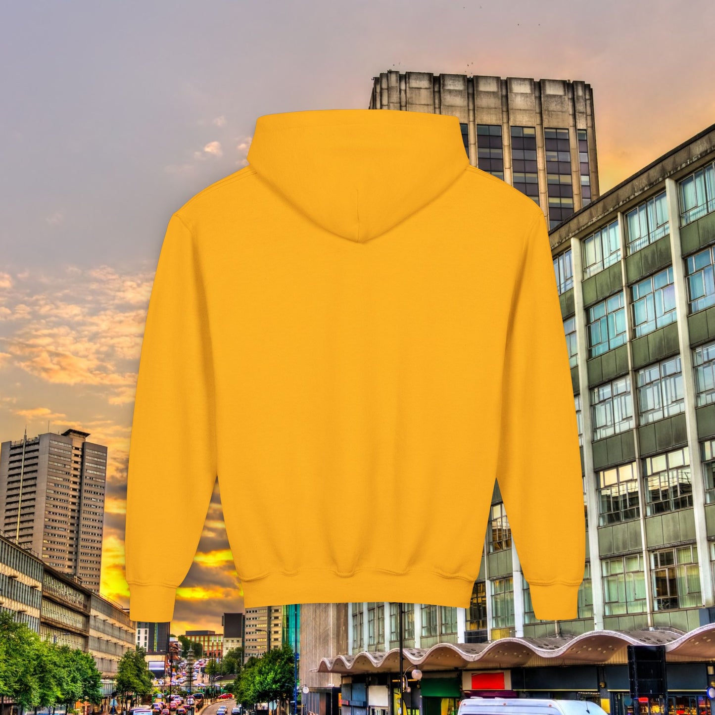 Villans Youth Hoodie